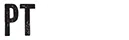 PT Mikko